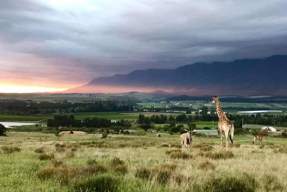 Villa Kwetu Guest Farm à Swellendam Extérieur photo